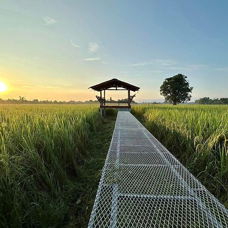 Phanumas Resort شيانغ ماي المظهر الخارجي الصورة